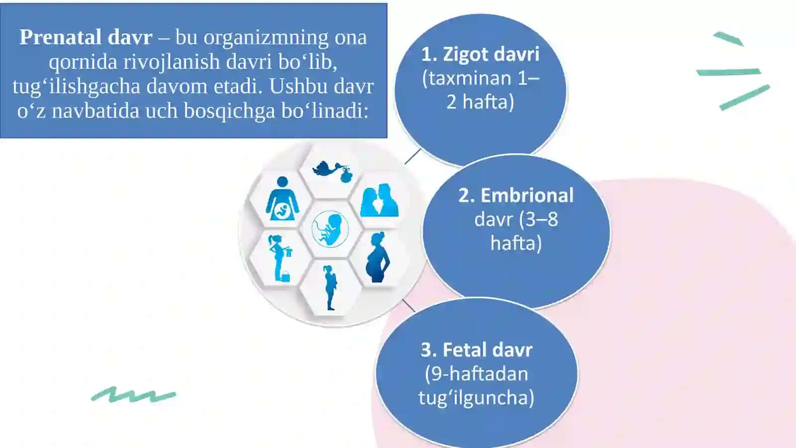 PRENATAL VA POSTNATAL DAVRLAR 3