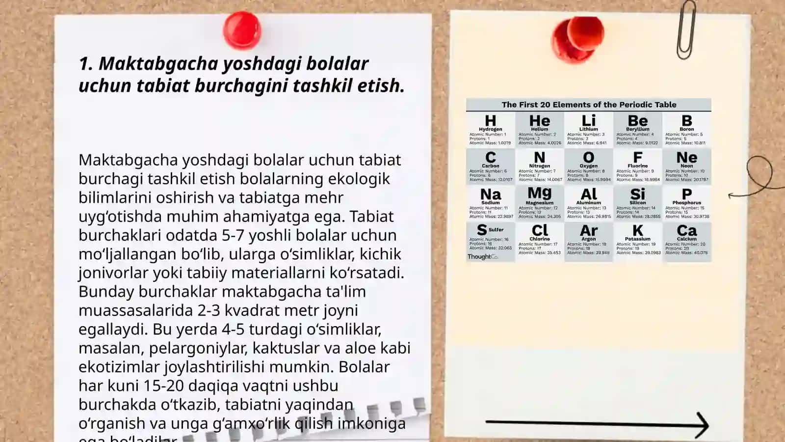 Mtt da turli yosh guruhlarda tabiat burchagini tashkil etish texnologiyalari 3
