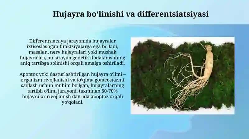 Organizmning oʻsishi, rivojlanishi va qarish 3