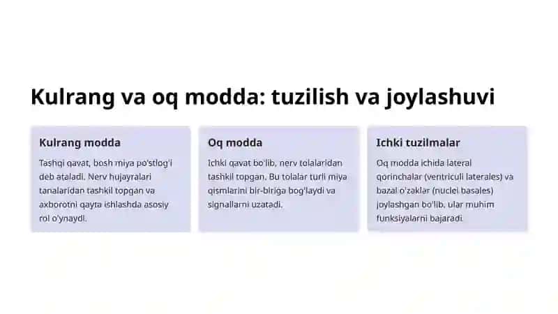 Miya yarim sharlarining tuzilishi 3