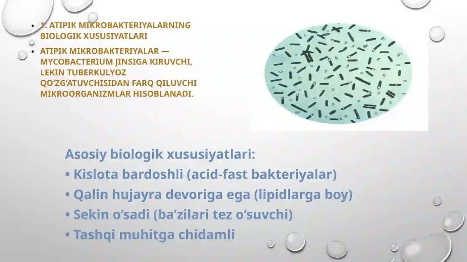 Atipik mikrobakteriyalar va ularning amaliyotdagi ahamiyati 3