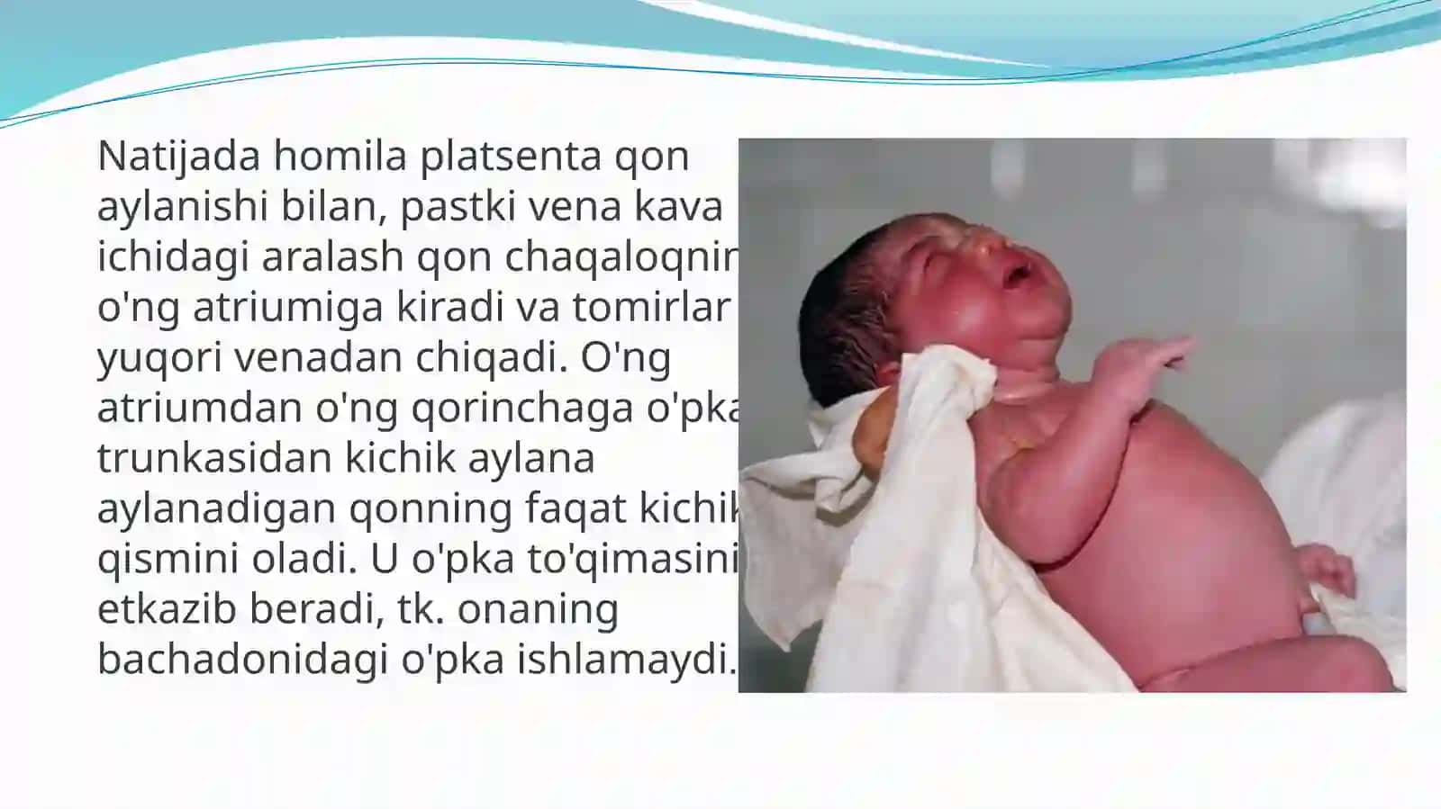 Ona qornida qon aylanishining ahamiyati va bola tug’ilganidan keyingi o’zgarishlar 3