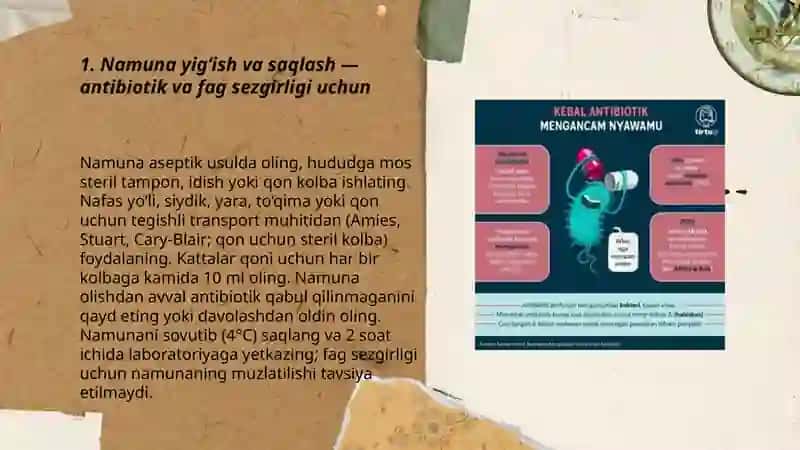 Bakteriyalarni antibiotiklar faglarga qarshi sezgirligini aniqlash 3