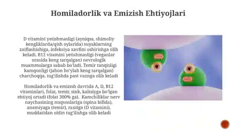 Alimentar avitaminozlarning kelib chiqish sabablari va profilaktikasi 3