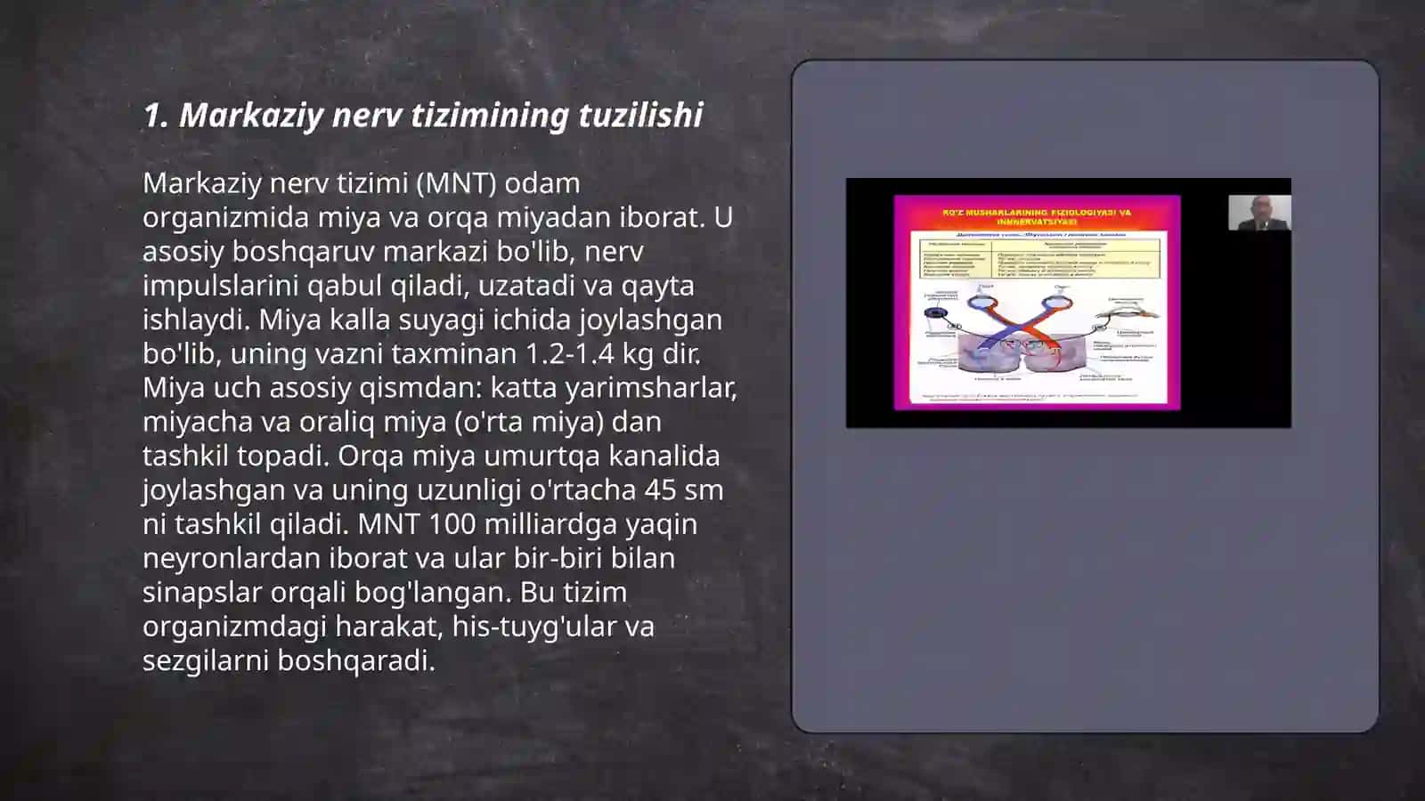 Markaziy nerv tizimi fiziologiyasi 3