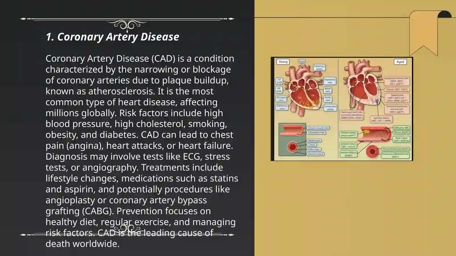 Diseases of the Cardiovascular System 3
