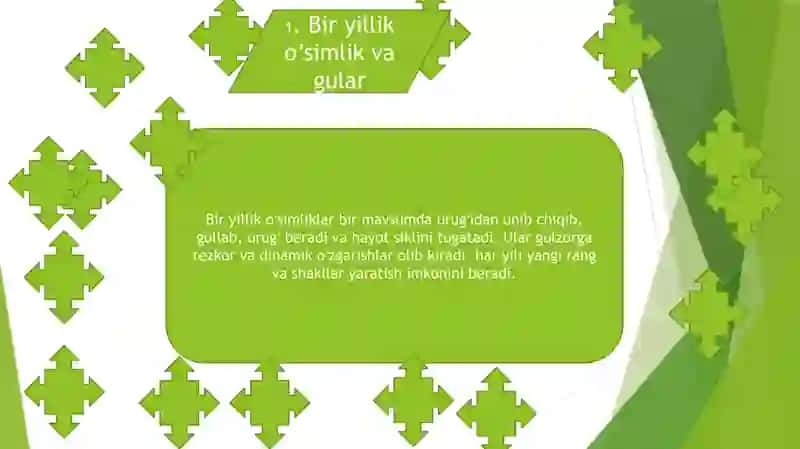 Turli fasillarda gulzor tashkil etish ko'b yillik, bir yillik, bir mavsumda gullaydigan o'simliklar 3