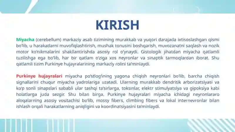 Miyachada neyronlararo aloqalar. Miyacha Purkinye hujayralarining tashqi ta'sirlarga va gipoksiyaga 3