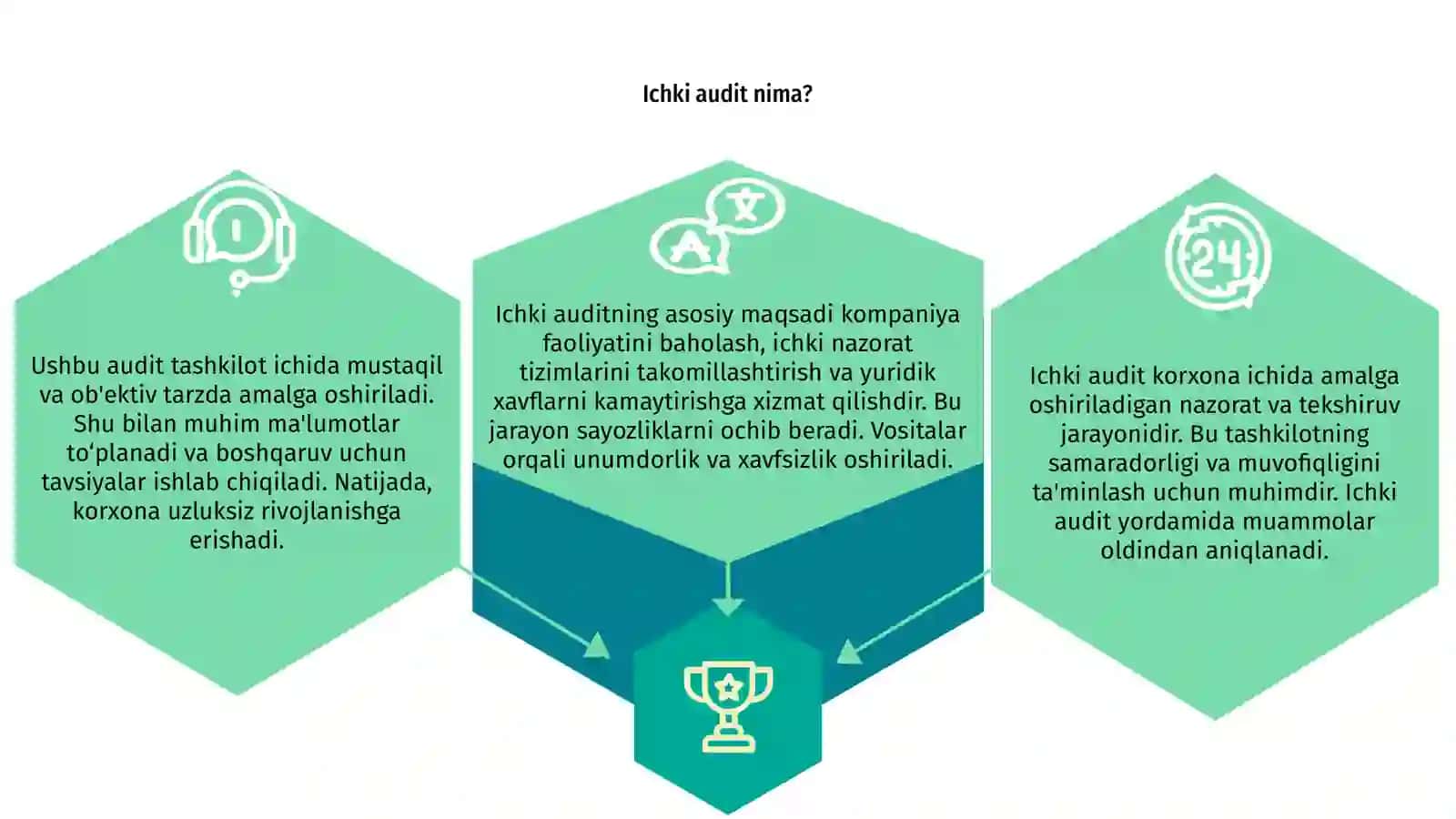 Ichki audit 3