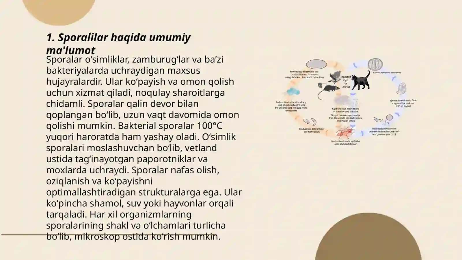 Sporalilar - bezgak plazmodiysi.Toksoplazma.Odam ichak parazitlari 3