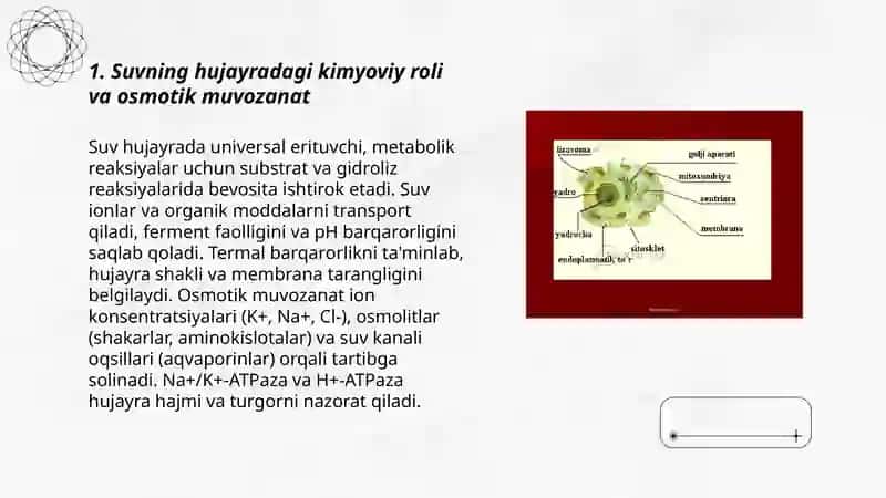 Hujayraning kimyoviy tarkibi asosiy zaxira moddalari va ularning metabolizmdagi roli 3