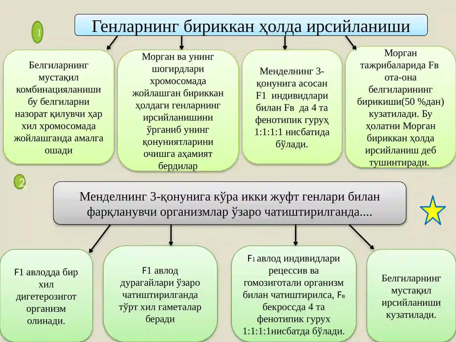 Ирсиятнинг хромосома назарияси. Жинс генетикаси 3