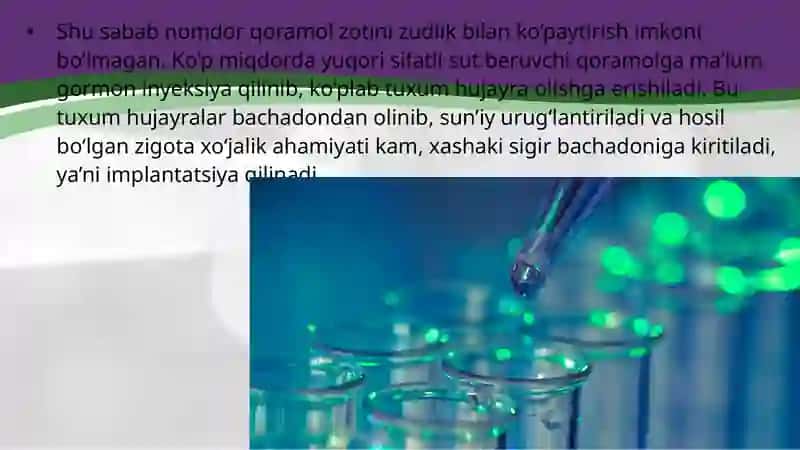 Hujayra muhandisligi asosida hayvonlar irsiyatini o‘zgartirish. Gibridoma 3