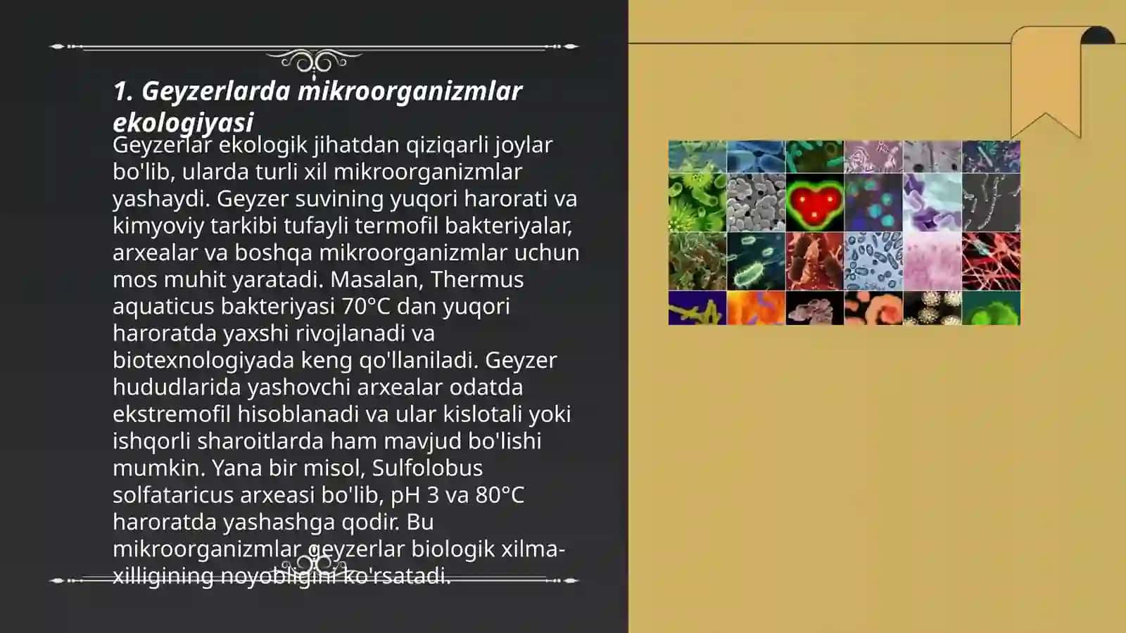 Mikroorganizmlarning geyzerlar va issiq manbalarda tarqalishi Allaberdiyeva Umida 3
