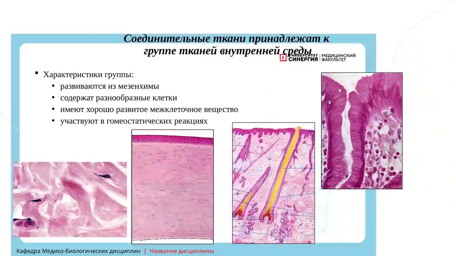 Ткани внутренней среды 3