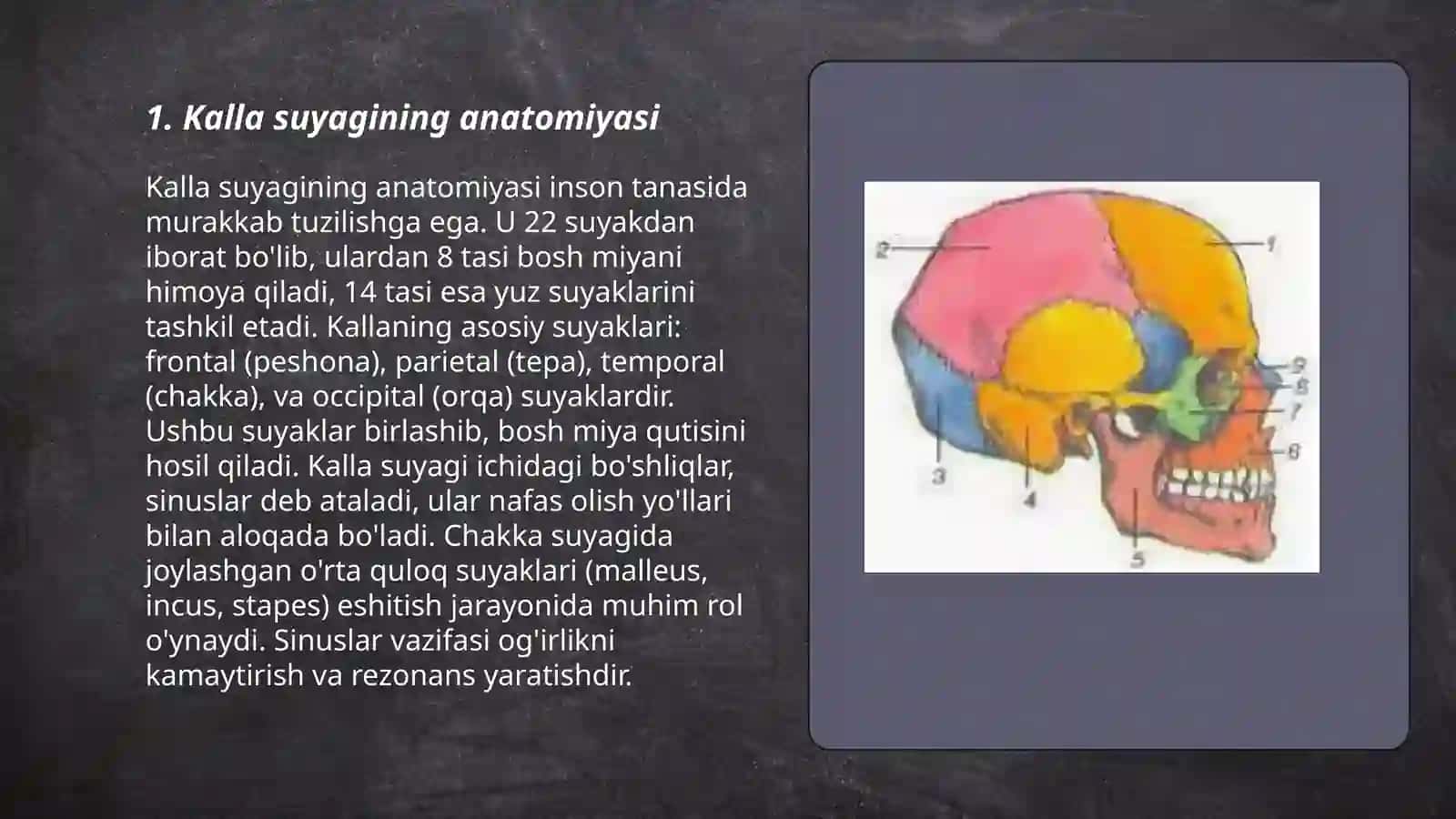 Kalla suyagi tuzulishi 3