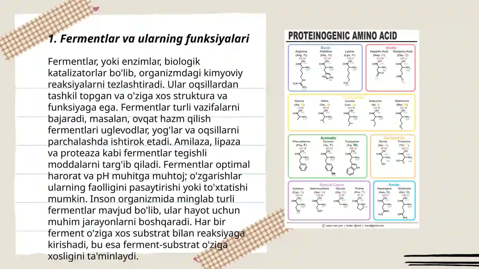 Fermentlar yordamida aminokislotalarni sintezlash 3