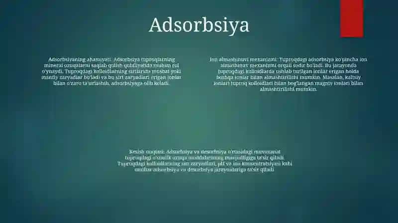 Tuproq Minera Elementlarining Yutish Mexanizmi 3