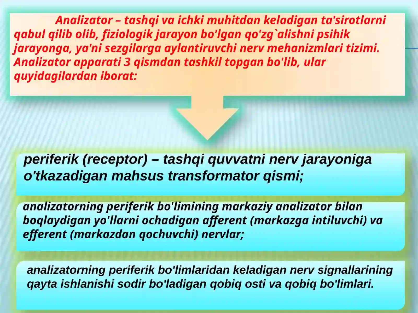 Sezgi 3