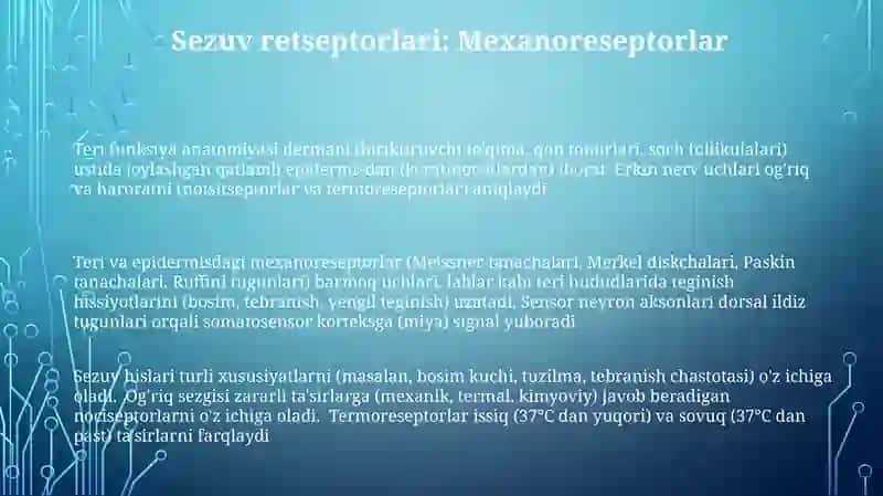 Teri funksiya anatomiyasi dermani 3