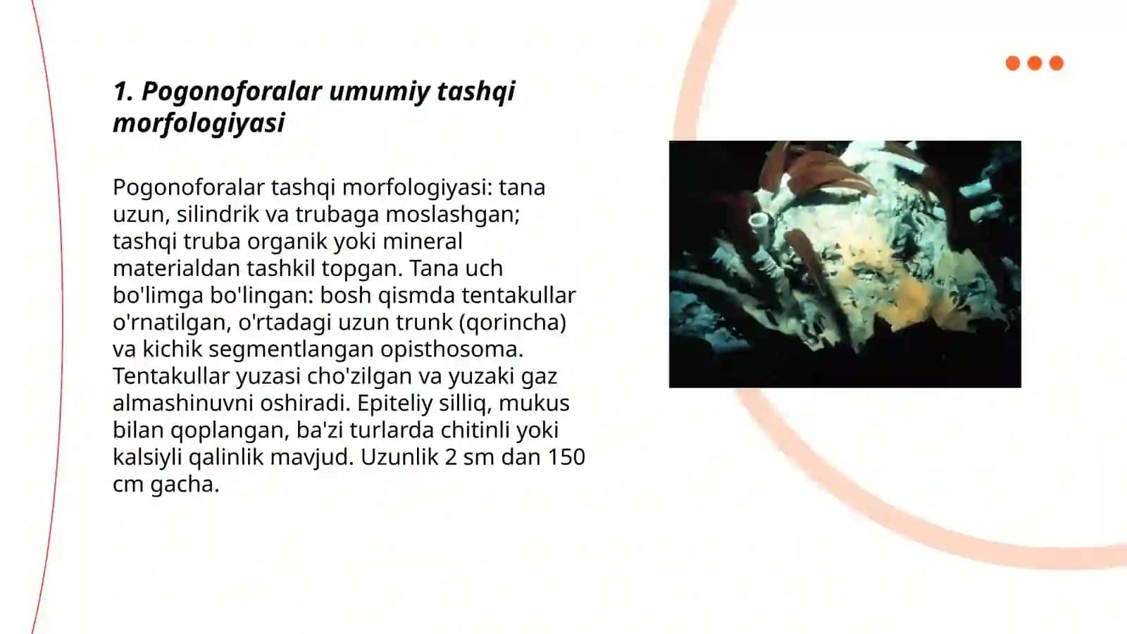 Pogonoforalar (Pogonophora) Tipi Vakillarining Tashqi va Ichki Tuzilishi Rivojlanishi Hamda Filogeniyasi 3