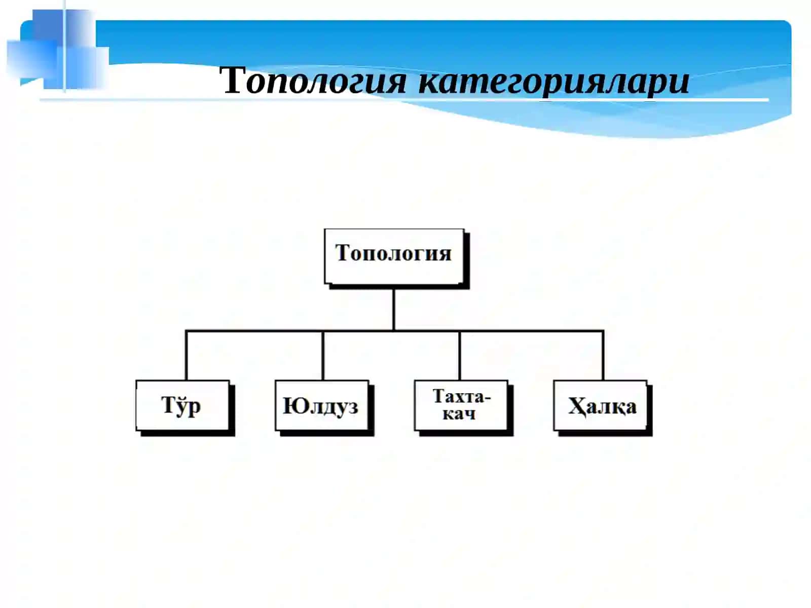 TАRMОQ TОPОLОGIYALАRI 3