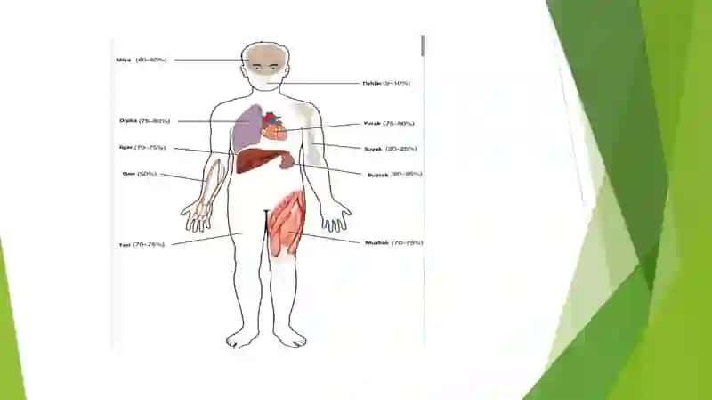 BIOLOGIK SUYUQLIKLARNI TOZALASHDA DIALIZ USULI 3
