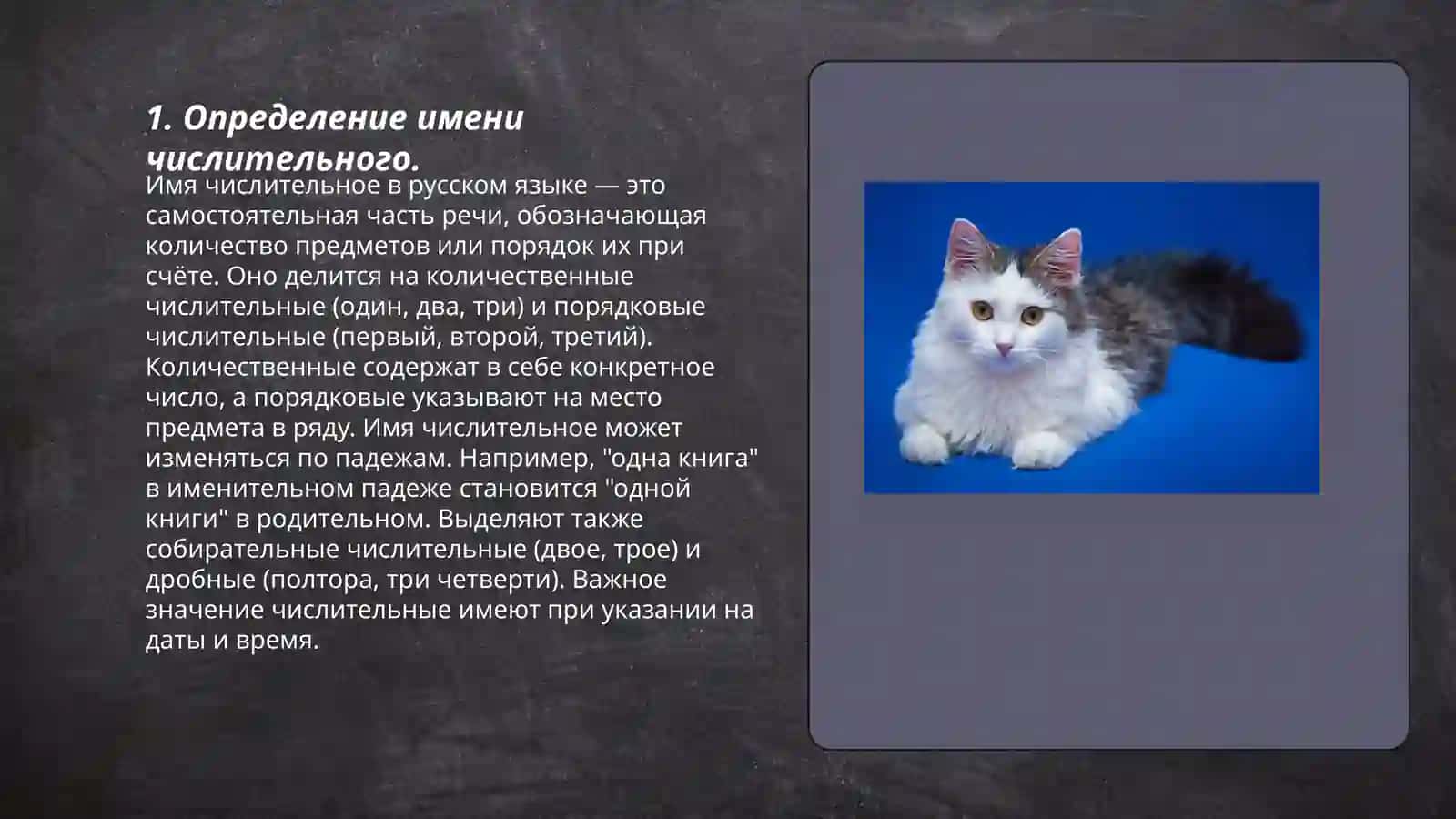 Имя числительное. Разряды числительных 3