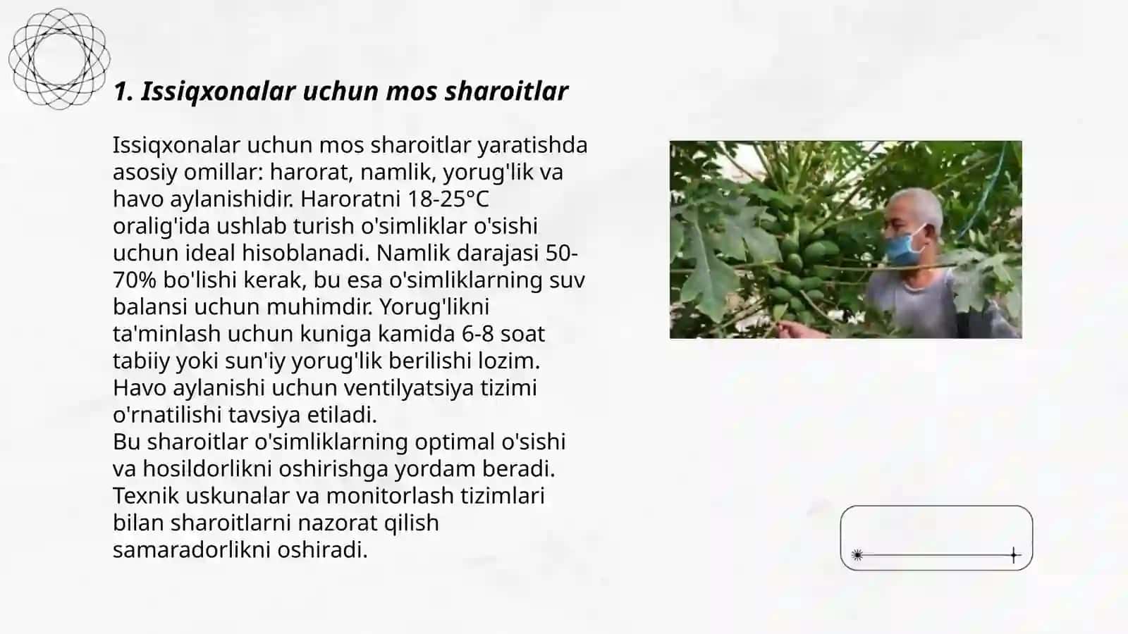 Fotiha Obidova - Issiqxonalarda papaya o'simligini yetishtirish texnalogiyasi 3