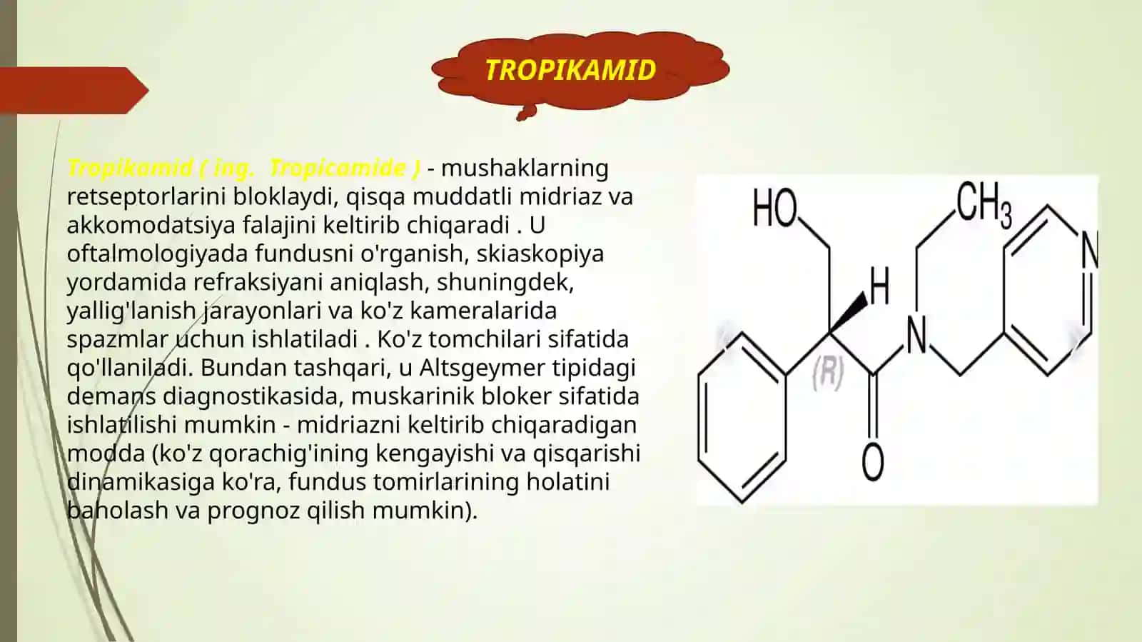 TROPIKAMID 3