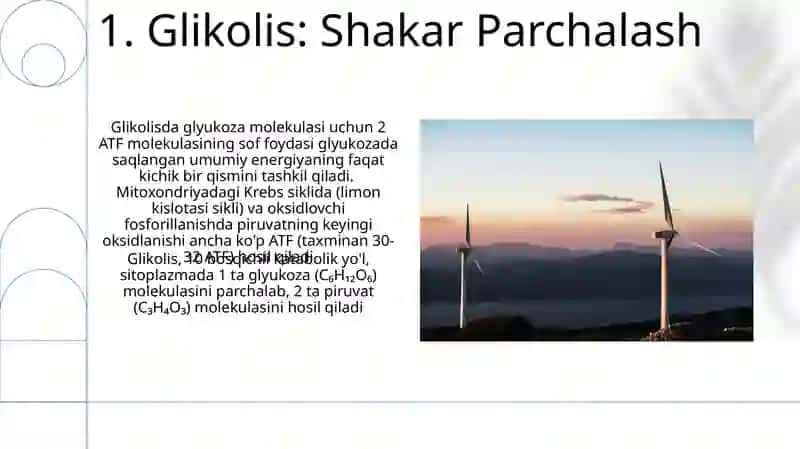 Metobolizm jarayonida energiyani hosil bòlishi va sarflanishi 3