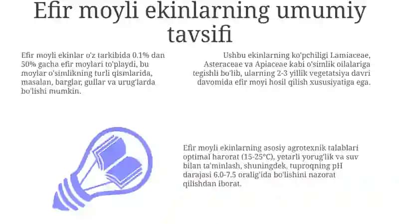 Efir moyli ekinlarning umumiy tavsifi 3
