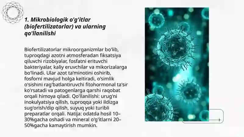 Mikroorganizmlarning qo'llanish imkoniyatlari va qishloq xoʻjaligi o'simliklarini himoya qilishda qo'llanlishi 3