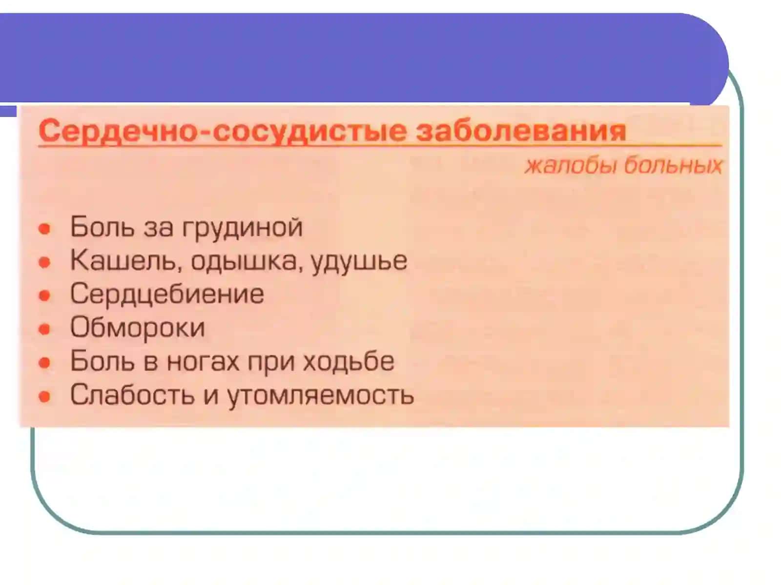 Расспрос и осмотр больных с заболеванием органов кровообращения. Пальпация и перкуссия сердца 3