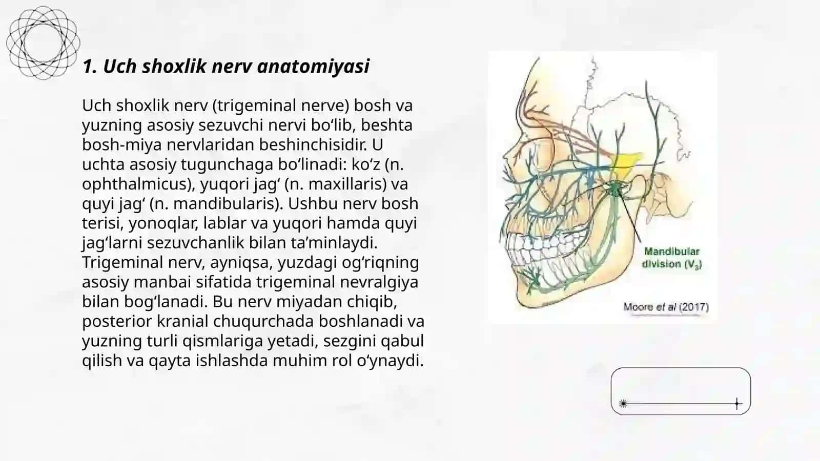 Uch shoxlik nerv. Uch shoxlik nervlarning vegetativ tugunlari.VII-IX juft bosh miya nervlari 3