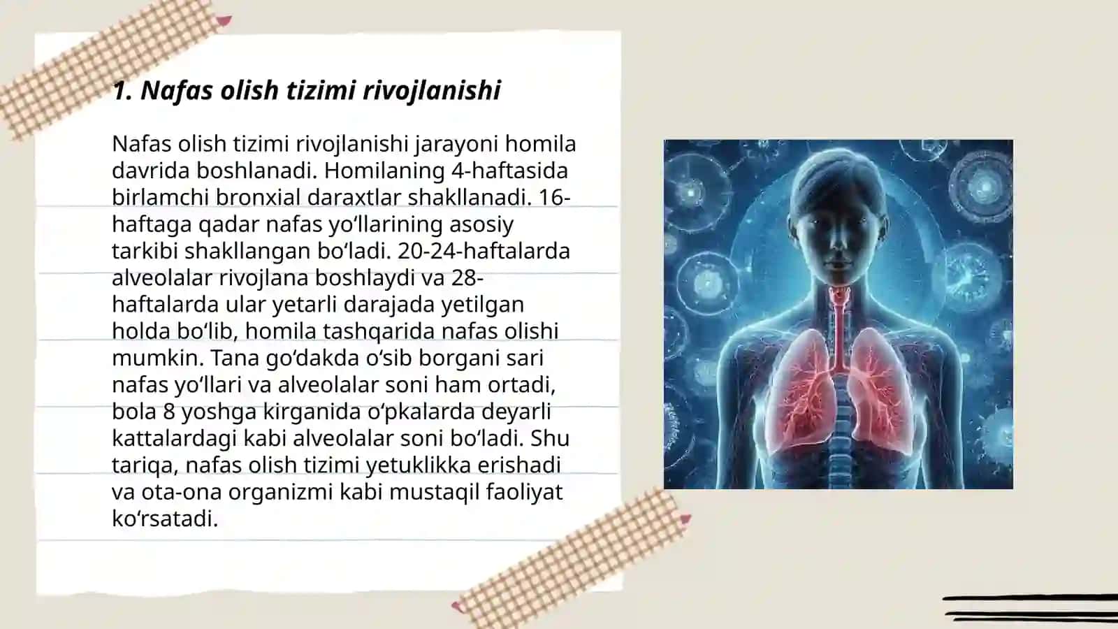 Nafas olish tizimining yosh xususiyatlari va gigiyenasi 3
