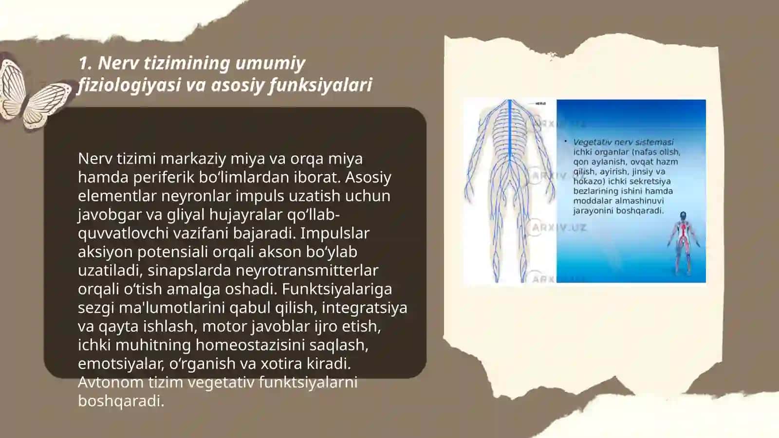 Nerv tizimining fiziologiyasi yosh xususiyatlari va gigiyenasi 3