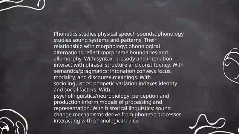 The relationship of phonetics with other branches of linguistics 3