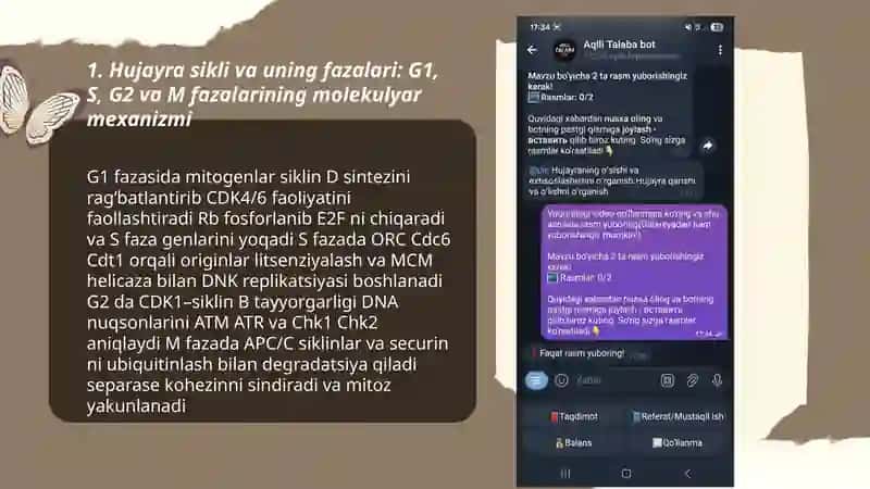 Hujayraning oʻsishi va extisoslashishni oʻrganish 3