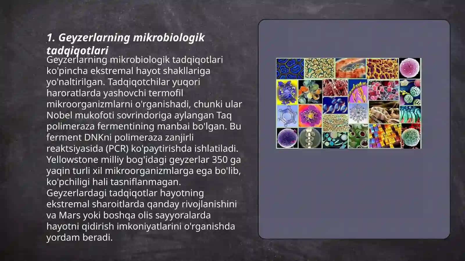 Mikroorganizmlarning Geyserlar va issiq manbalar tarqalishi 3