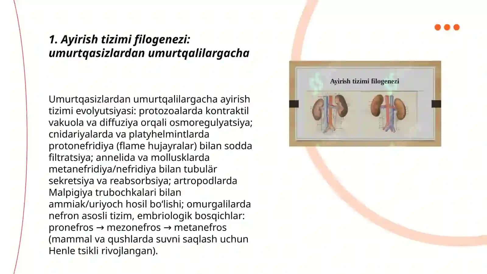 Ayirish tizimi filogenezi va buzilishlari 3