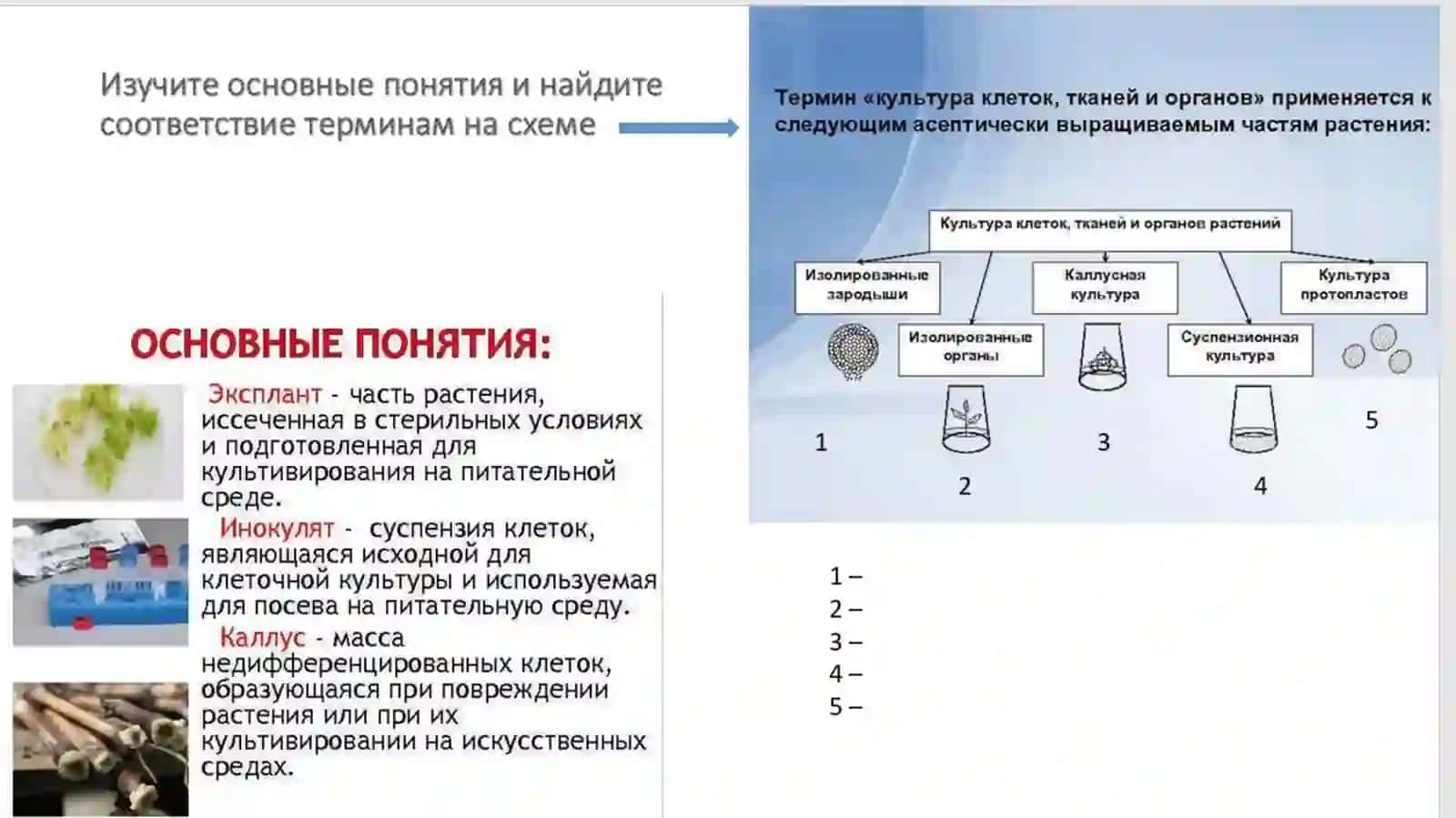 Биотехнологии в сельском хозяйстве 3
