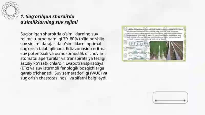 Sug'oriladigan dehqonchilik fiziologik xossalari 3