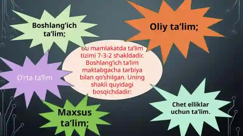 Nederlandiya, Finlandiya, Hindiston ta’lim tizimi 3