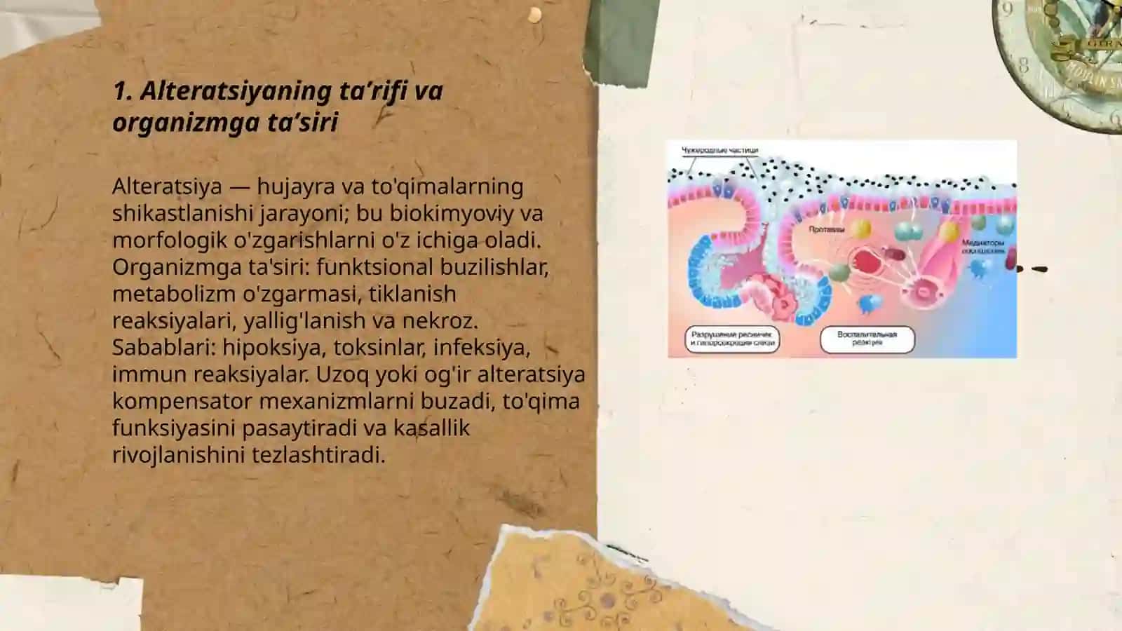 Alteratsiyaning rivojlanishi 3