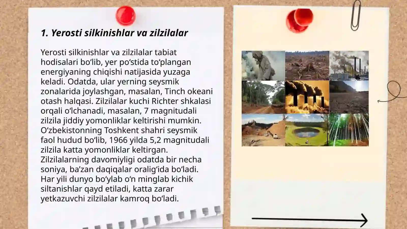 Tabiiy ofatlar va ularning ekologik oqibatlari 3