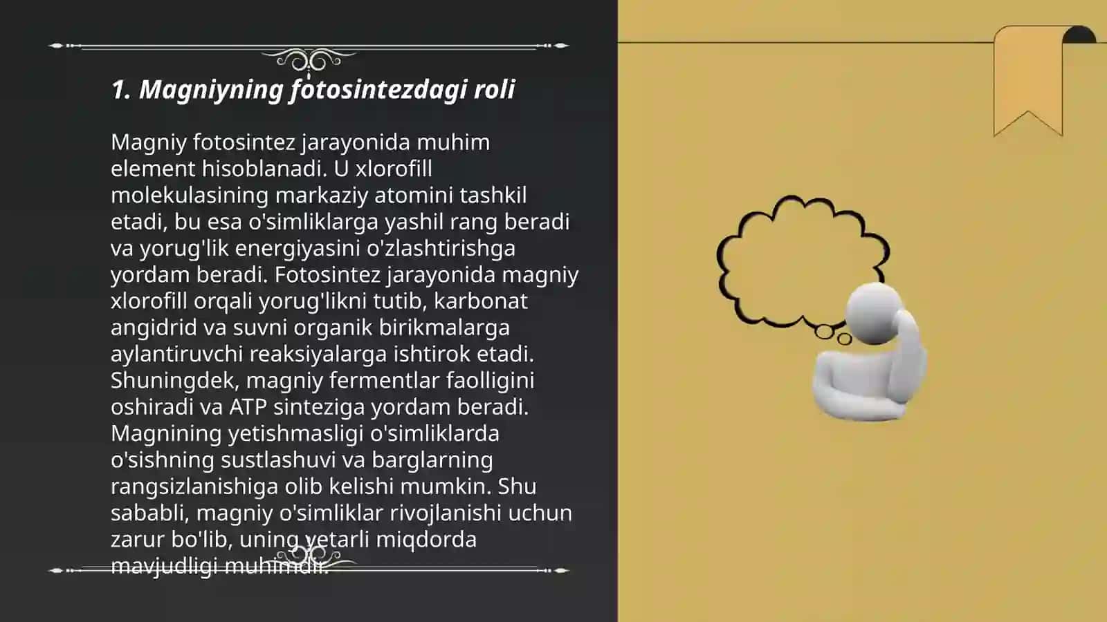 O'simliklar fotosintezida magniyning tetrapirrolli komplekslarining roli 3