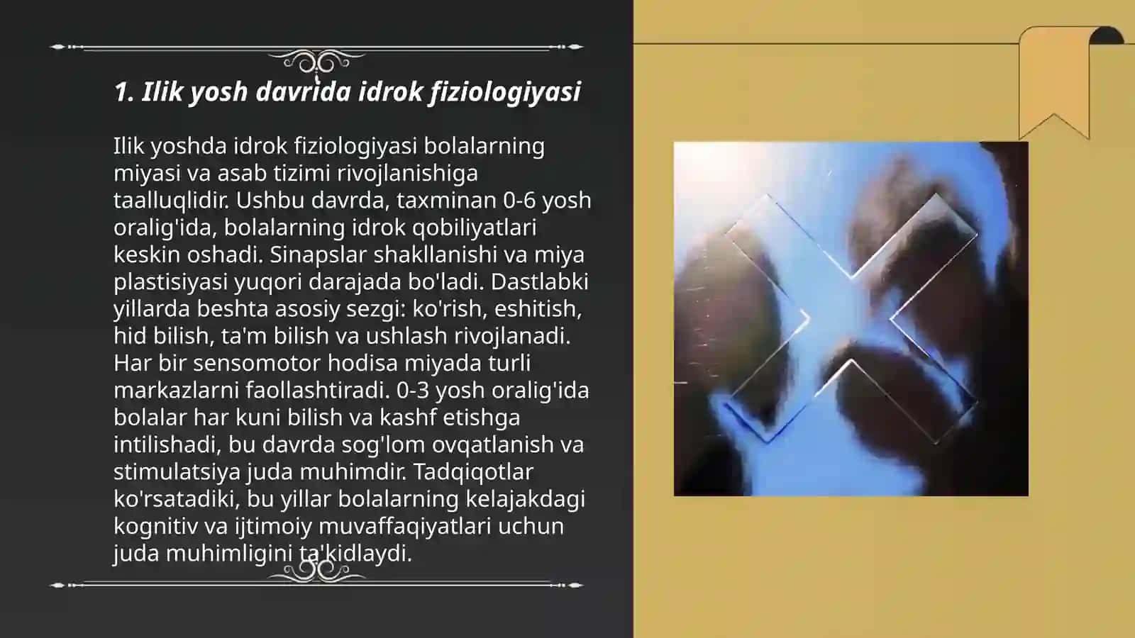 Ilik yosh davrda idrok rivojlanishi 3