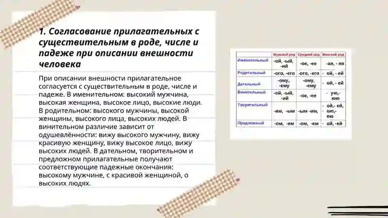 Склонение имени прилагательного. Портрет человека 3