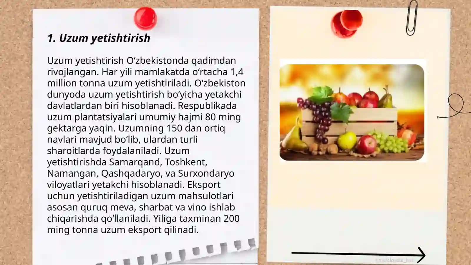 Urugʻli va danakli mevalar 3